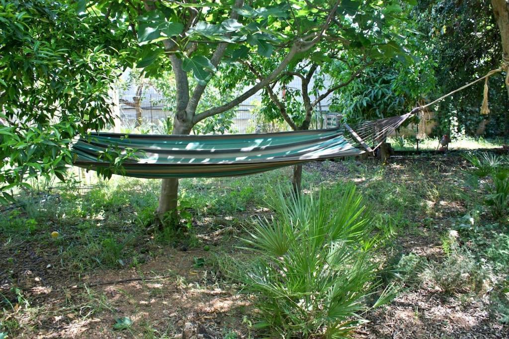 Camera Indipendente Con Bagno Immersa Nel Verde Bagheria Exteriör bild